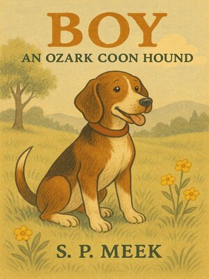 cover image of Boy